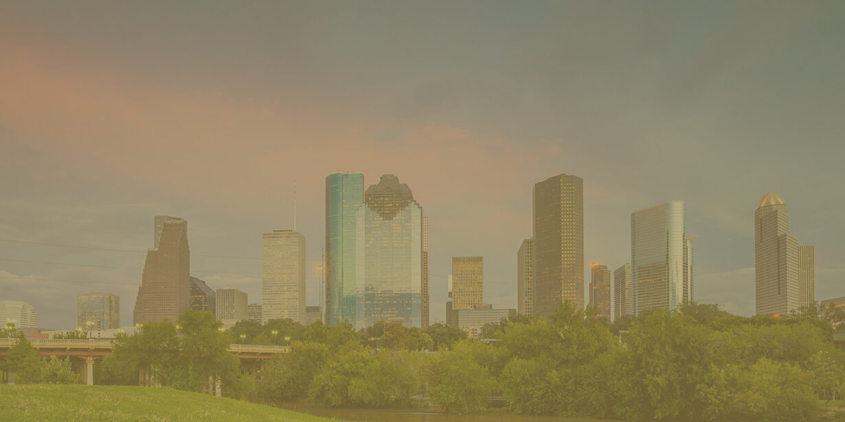 Downton Houston